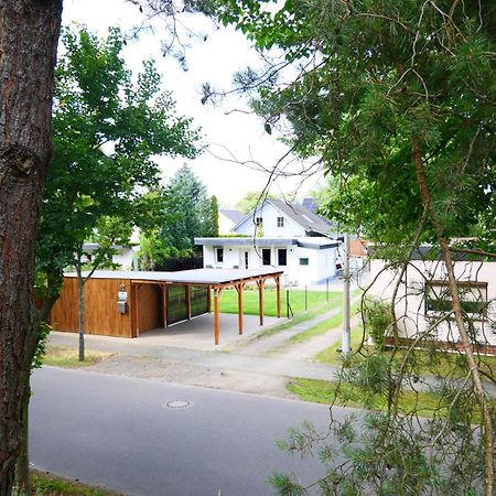 Haus Kleiner Findling Im Lausitzer Seenland Tätzschwitz Eksteriør billede