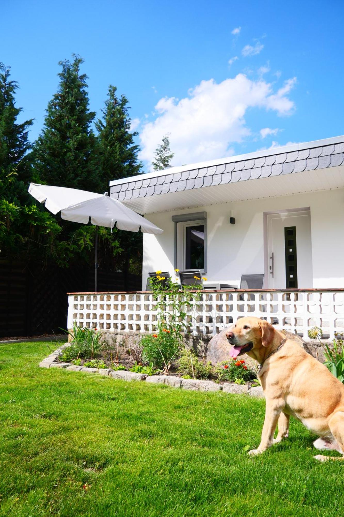 Haus Kleiner Findling Im Lausitzer Seenland Tätzschwitz Eksteriør billede
